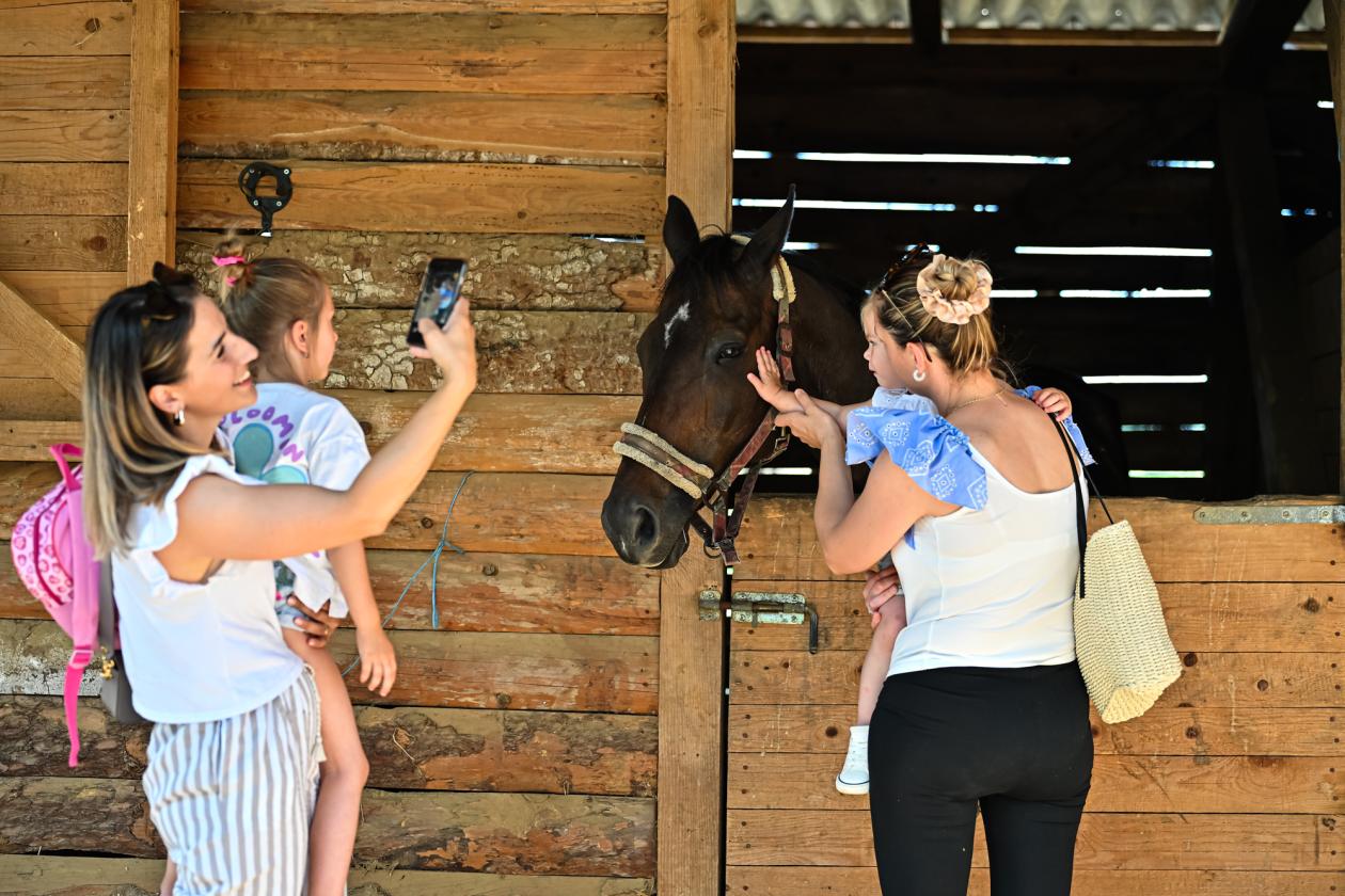 Konjički klub Zadar za Zaratiniće Konjički klub Zadar za Zaratiniće