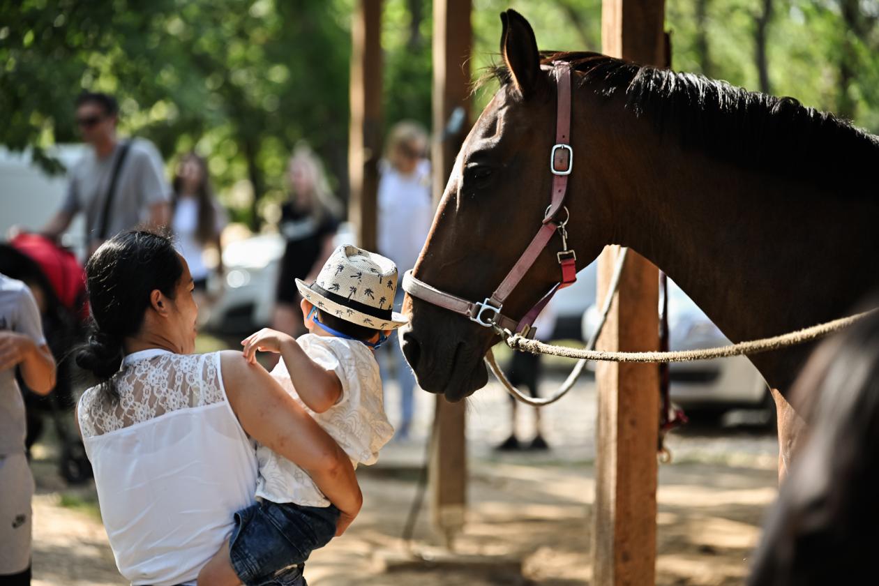 Konjički klub Zadar za Zaratiniće Konjički klub Zadar za Zaratiniće