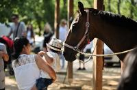 Konjički klub Zadar za Zaratiniće Konjički klub Zadar za Zaratiniće