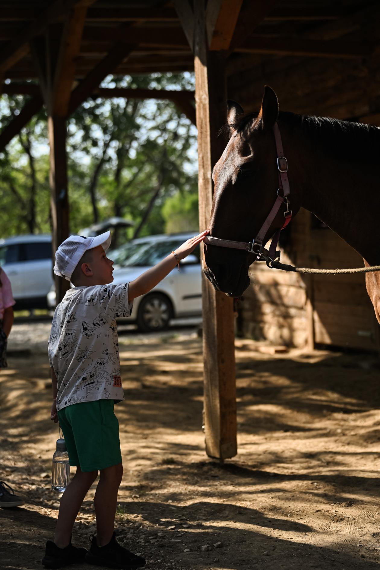 Konjički klub Zadar za Zaratiniće Konjički klub Zadar za Zaratiniće