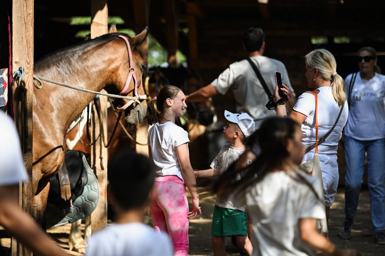 Konjički klub Zadar za Zaratiniće Konjički klub Zadar za Zaratiniće
