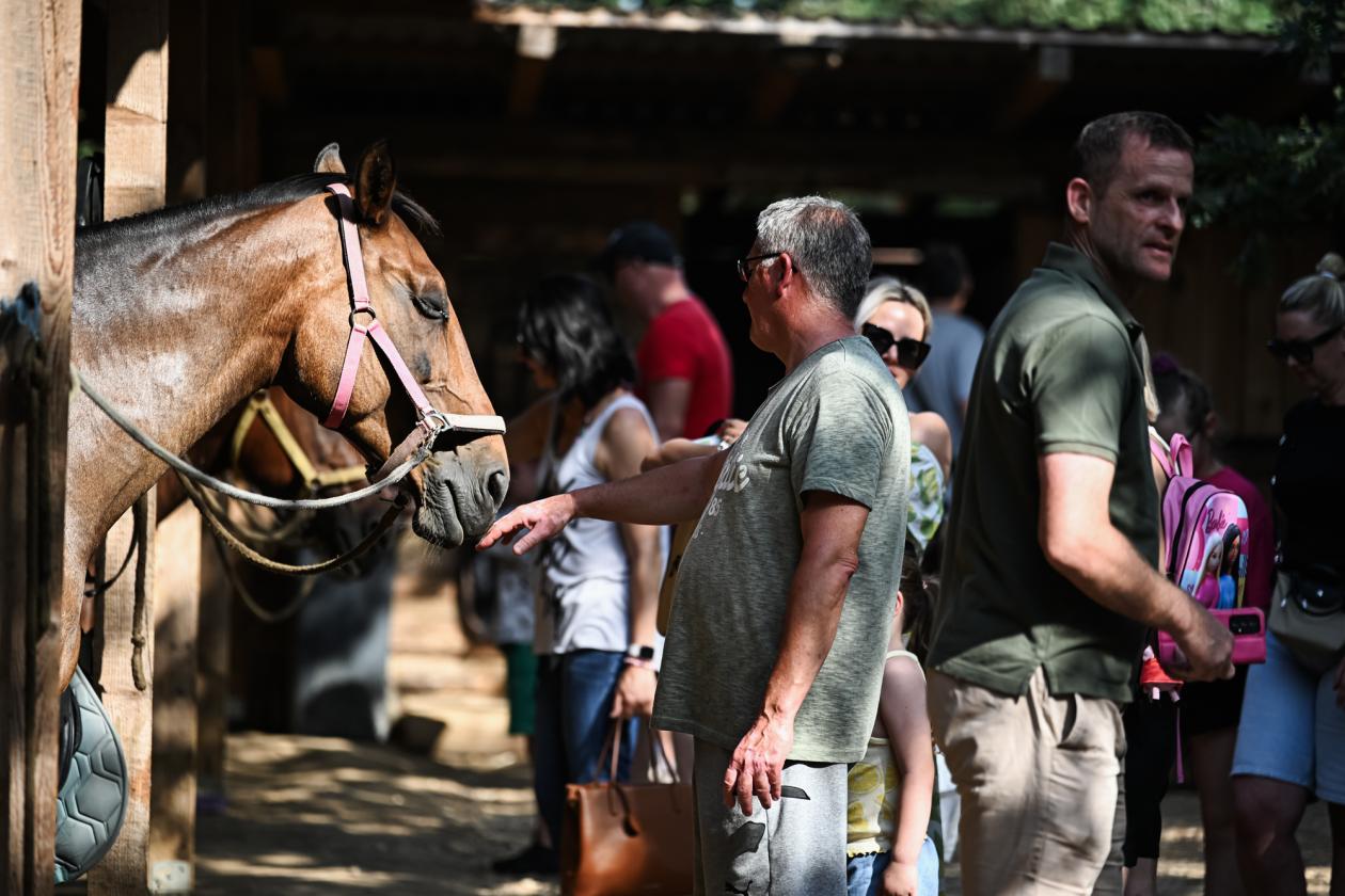 Konjički klub Zadar za Zaratiniće Konjički klub Zadar za Zaratiniće