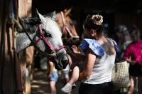 Konjički klub Zadar za Zaratiniće Konjički klub Zadar za Zaratiniće