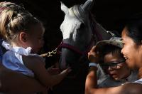 Konjički klub Zadar za Zaratiniće Konjički klub Zadar za Zaratiniće