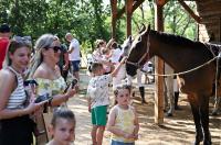 Konjički klub Zadar za Zaratiniće Konjički klub Zadar za Zaratiniće