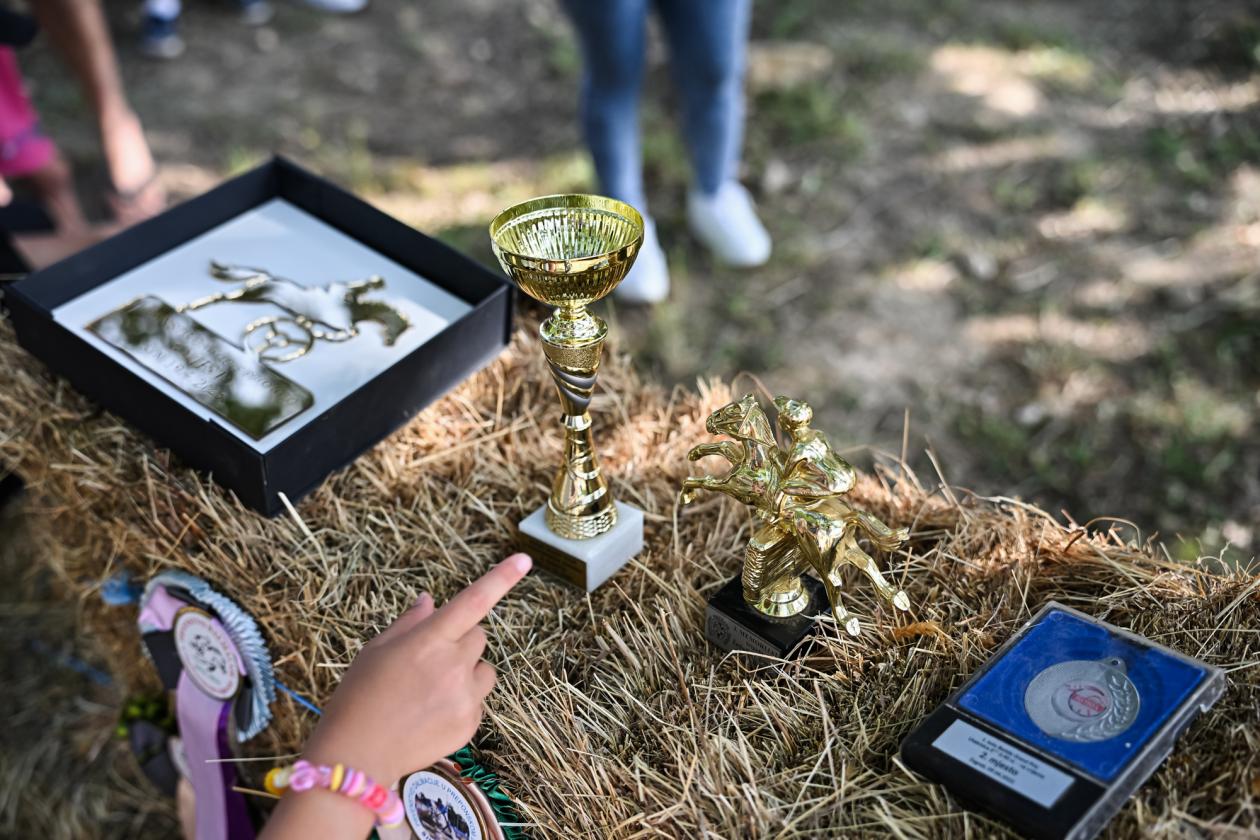 Konjički klub Zadar za Zaratiniće Konjički klub Zadar za Zaratiniće