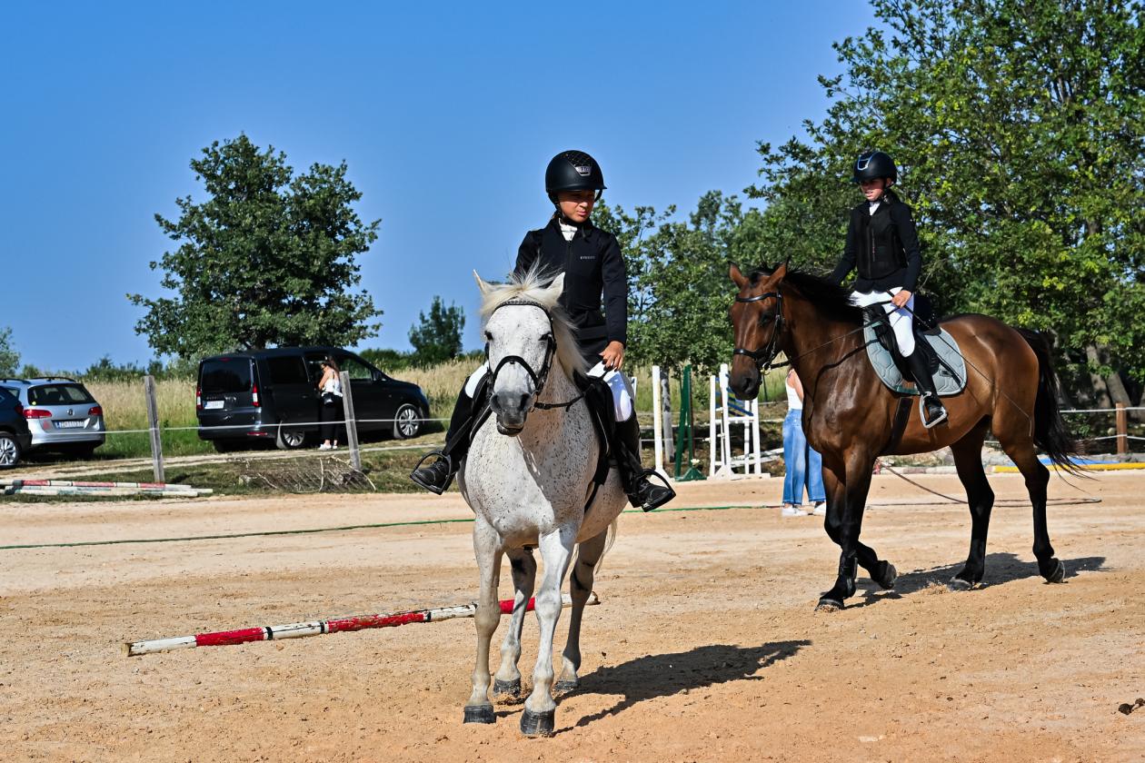 Konjički klub Zadar za Zaratiniće Konjički klub Zadar za Zaratiniće