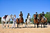 Konjički klub Zadar za Zaratiniće Konjički klub Zadar za Zaratiniće