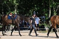 Konjički klub Zadar za Zaratiniće Konjički klub Zadar za Zaratiniće
