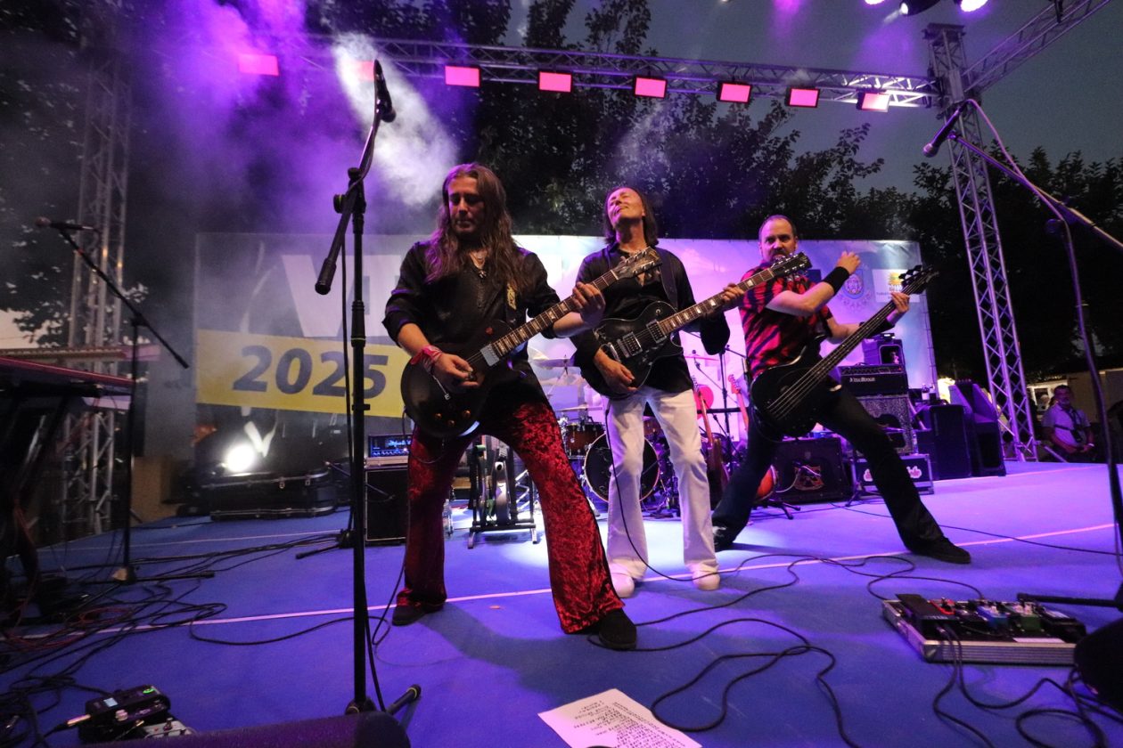 Koncert Divljih Jagoda na Viru (10)