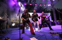 Koncert Divljih Jagoda na Viru (10)