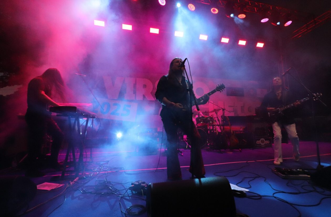 Koncert Divljih Jagoda na Viru (14)