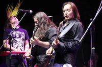 Koncert Divljih Jagoda na Viru (23)