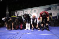 Koncert Divljih Jagoda na Viru (3)