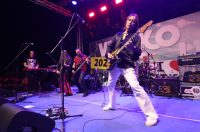 Koncert Divljih Jagoda na Viru (38)