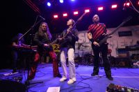 Koncert Divljih Jagoda na Viru (7)