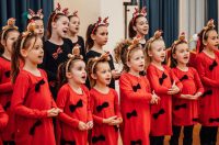 Glazbeni studio Libreto priredio humanitarni koncert Čarobni zvuci Božića Glazbeni studio Libreto priredio humanitarni koncert Čarobni zvuci Božića