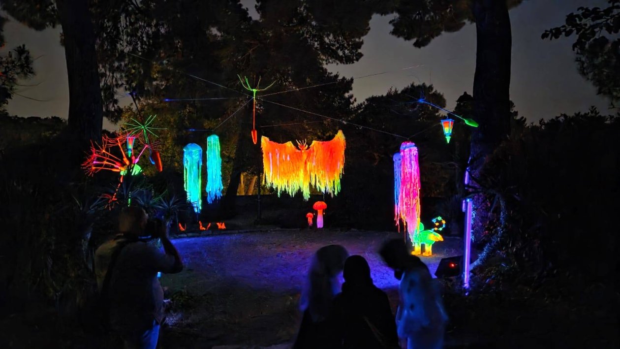 Magična šuma, ŠPUD Zadar (1)