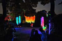 Magična šuma, ŠPUD Zadar (1)