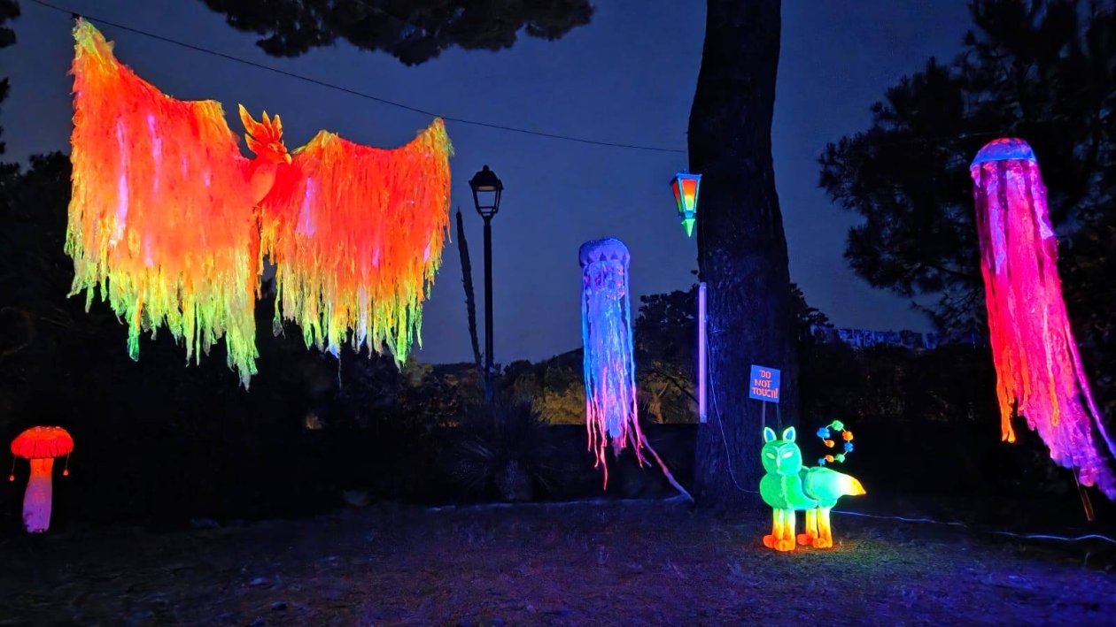 Magična šuma, ŠPUD Zadar (2)
