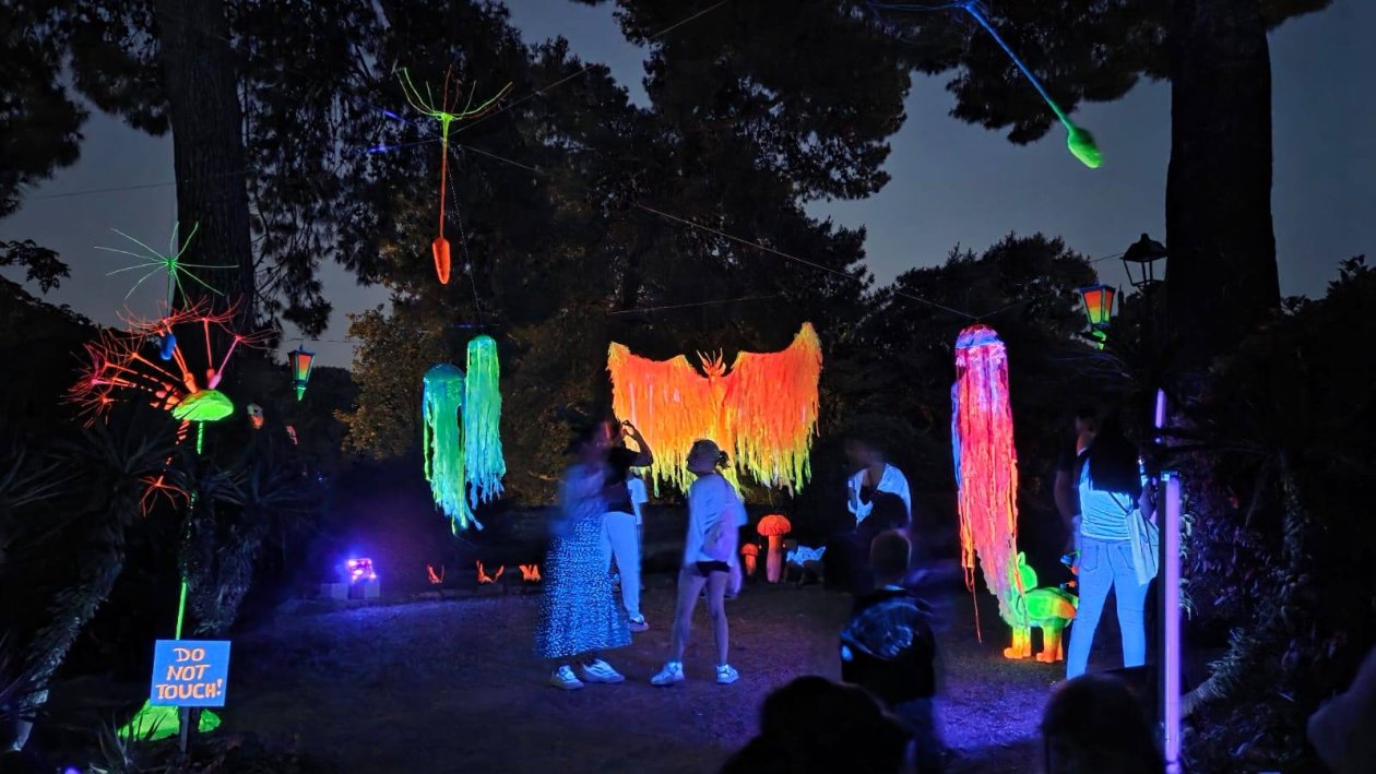 Magična šuma, ŠPUD Zadar (3)