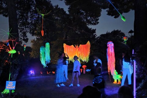 Magična šuma, ŠPUD Zadar (3) Magična šuma, ŠPUD Zadar (3)