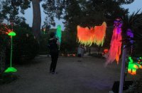 Magična šuma, ŠPUD Zadar (6)