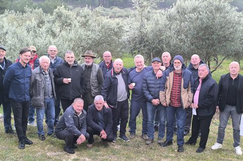 Maslinari – Stigli na edukaciju Maslinari – Stigli na edukaciju