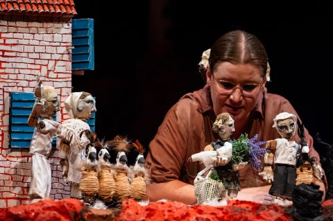 Misto di raste lavandulilili Misto di raste lavandulilili