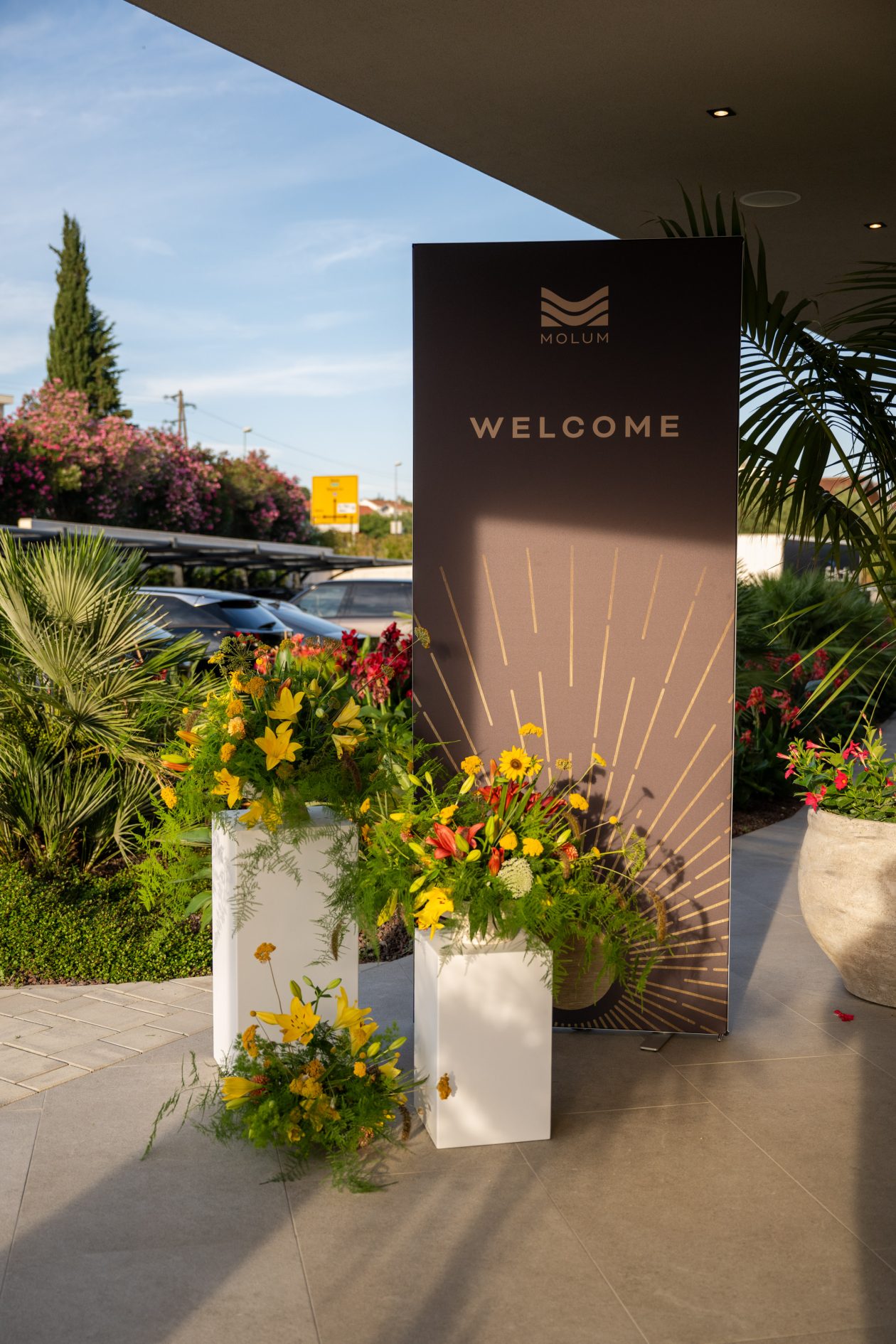 Brojne poznate osobe uveličale proslavu uspješnog početka rada Molum Hotel & Residences