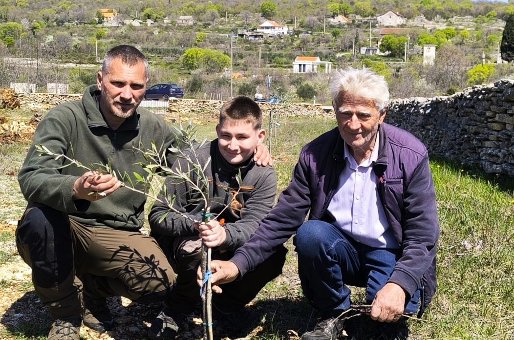 OPG Šunić – Branimir, Vid i Mirko