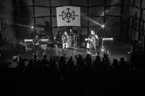 Nikola’s Cage Nikola’s Cage