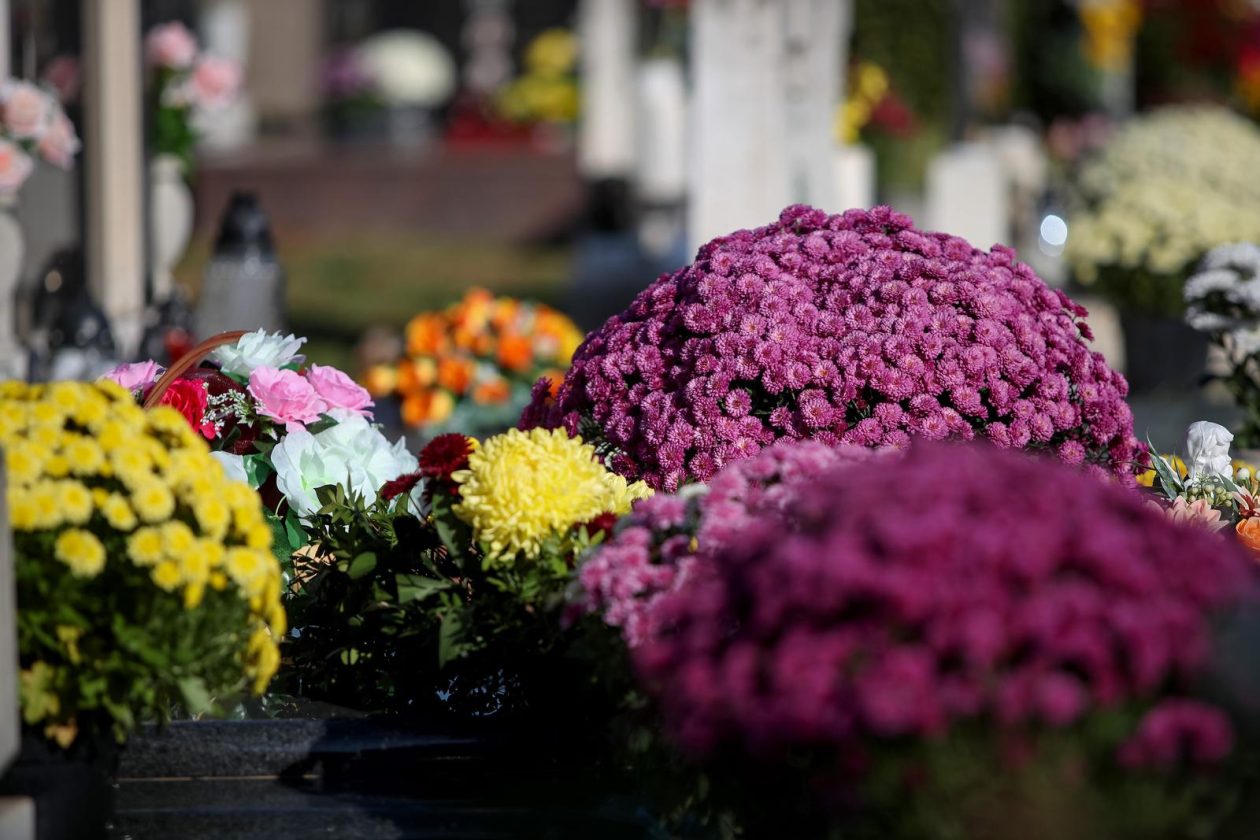 Svi sveti, Gradsko groblje Zadar