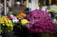 Svi sveti, Gradsko groblje Zadar