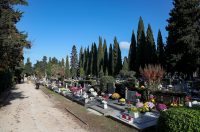 Svi sveti, Gradsko groblje Zadar