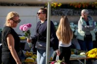 Svi sveti, Gradsko groblje Zadar