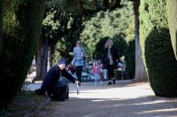 Svi sveti, Gradsko groblje Zadar