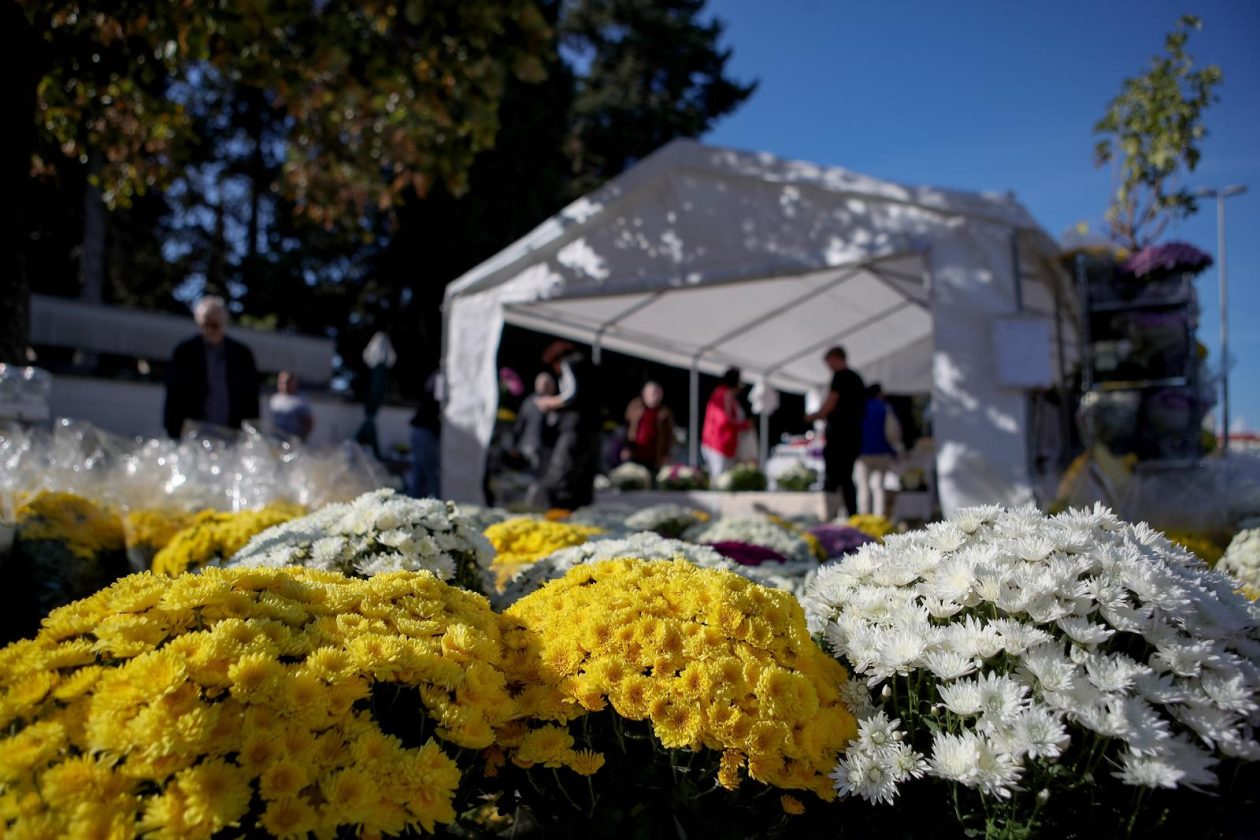 Svi sveti, Gradsko groblje Zadar