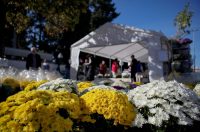 Svi sveti, Gradsko groblje Zadar