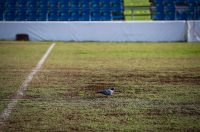 Stadion na Stanovima ostao bez dijela sjedalica i bez semafora
