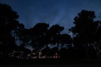 večer arbanasi punta bajlo borovi noć plaža