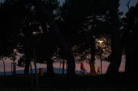 Večernja šetnja uz more djeca arbanasi punta bajlo borovi