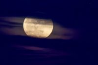 Zadar: Pun mjesec nad lukom Gaženica