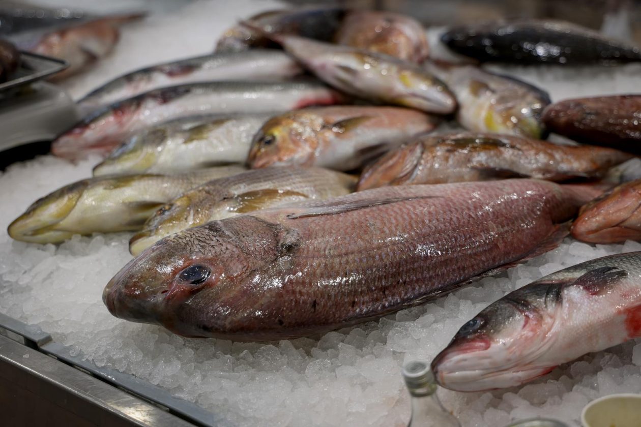 Zadar: Ponuda na zadarskoj ribarnici