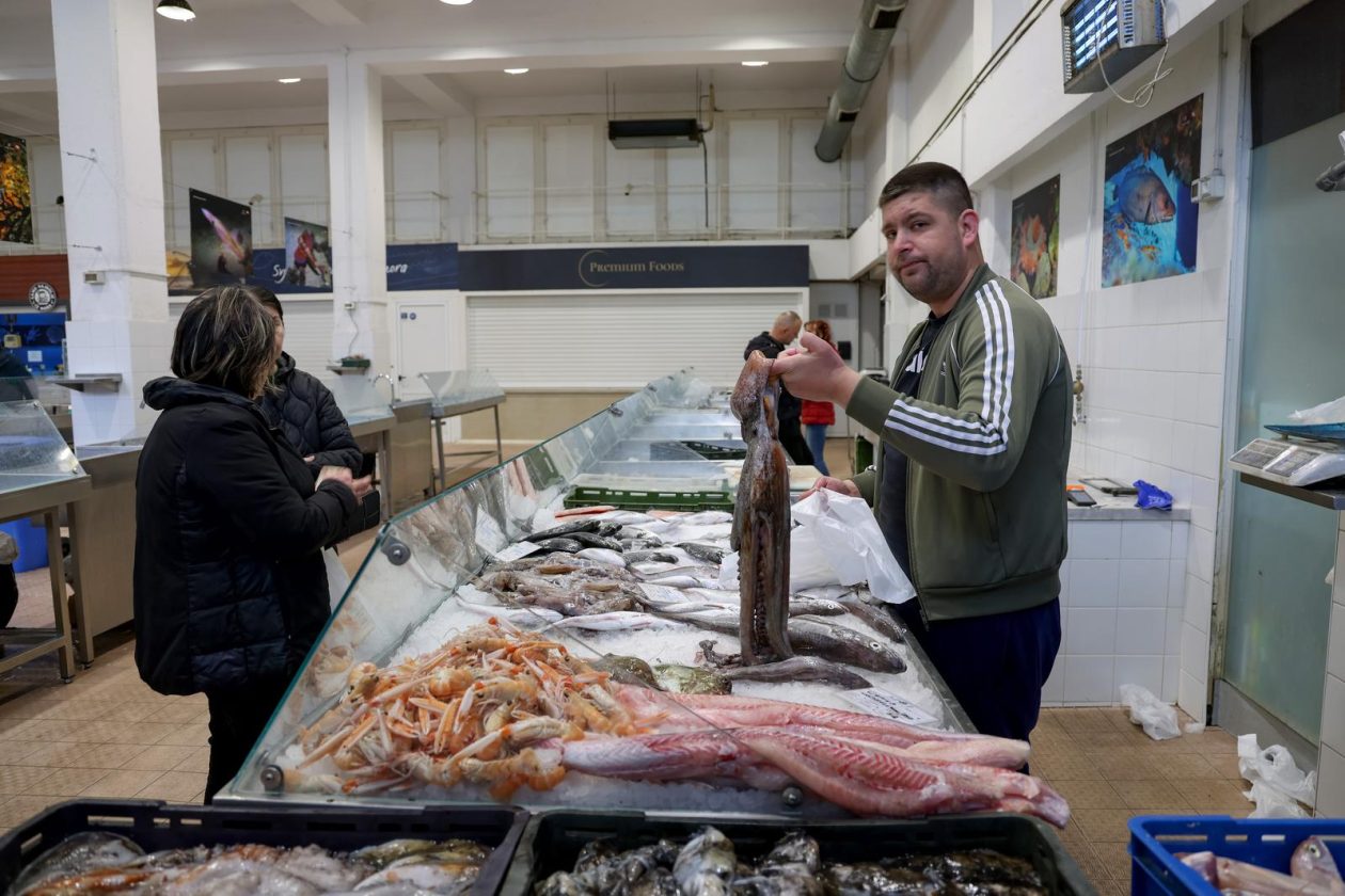 Zadar: Ponuda na zadarskoj ribarnici