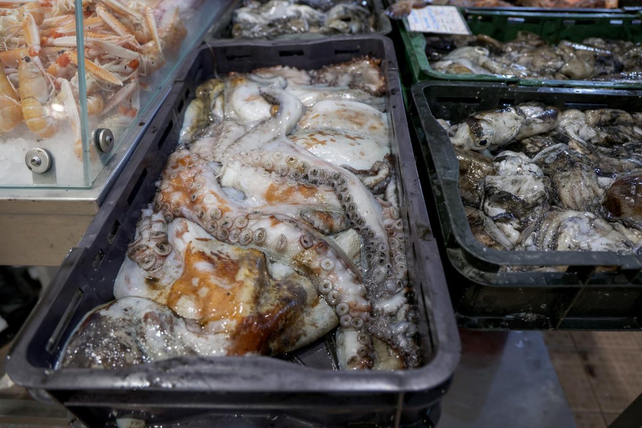 Zadar: Ponuda na zadarskoj ribarnici