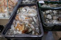 Zadar: Ponuda na zadarskoj ribarnici