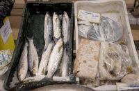 Zadar: Ponuda na zadarskoj ribarnici