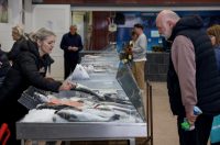 Zadar: Ponuda na zadarskoj ribarnici