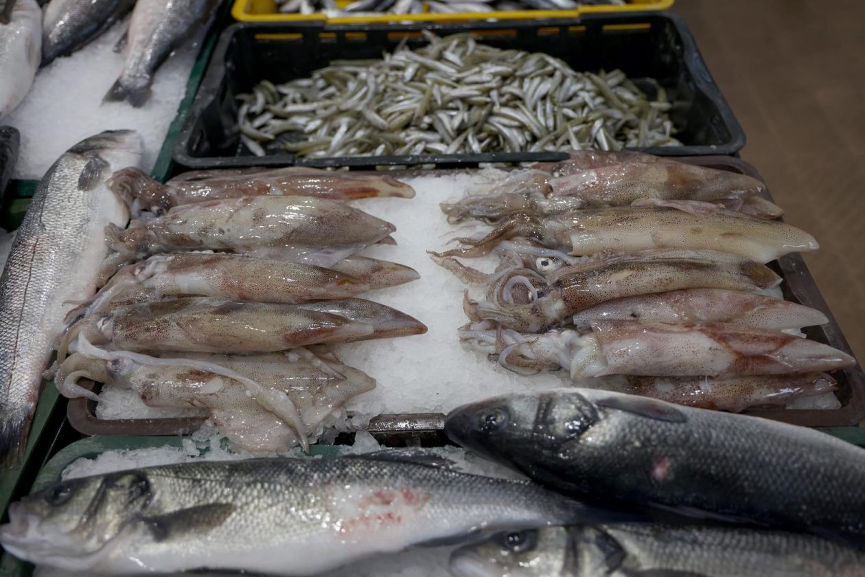 Zadar: Ponuda na zadarskoj ribarnici